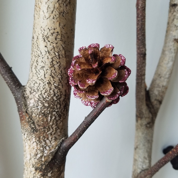 Glittered Pinecones - Picture 2 of 11